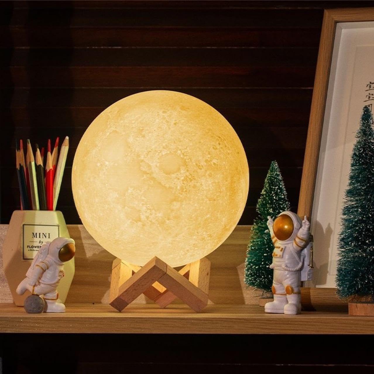 3D Moon Night Lamp